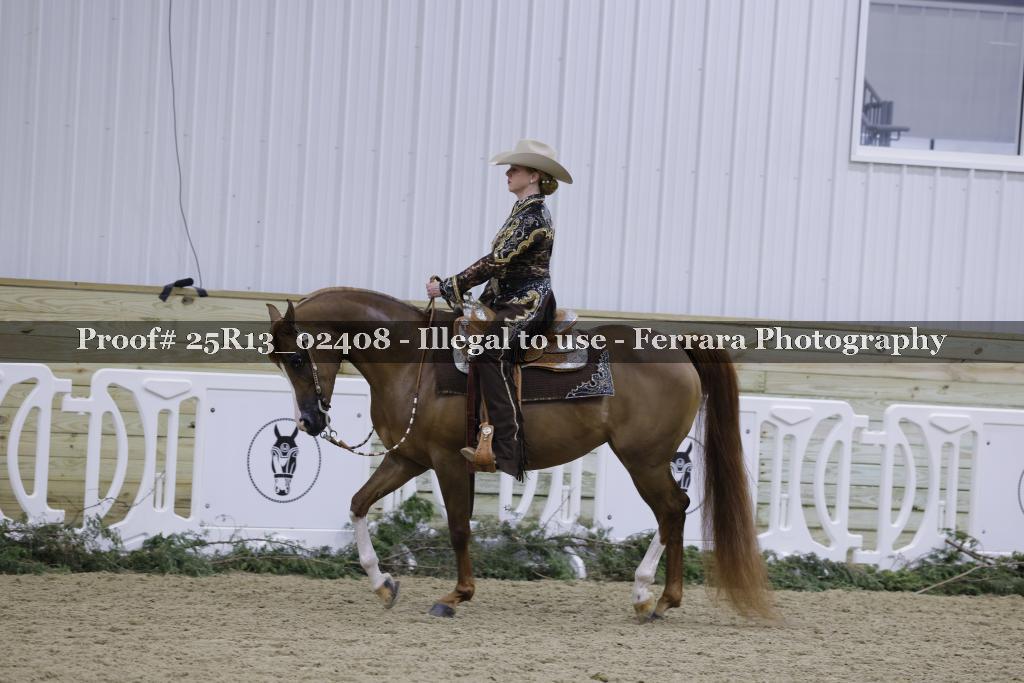 Proof Number 25R13_02408