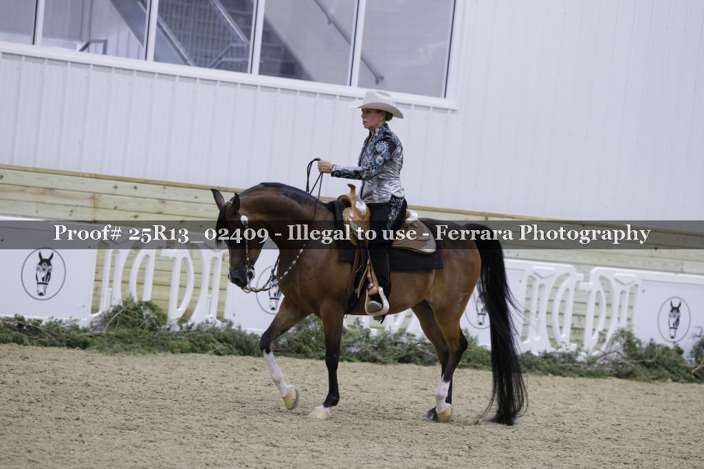 Proof Number 25R13_02409