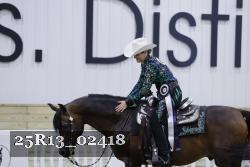 25R13_02418 thumbnail