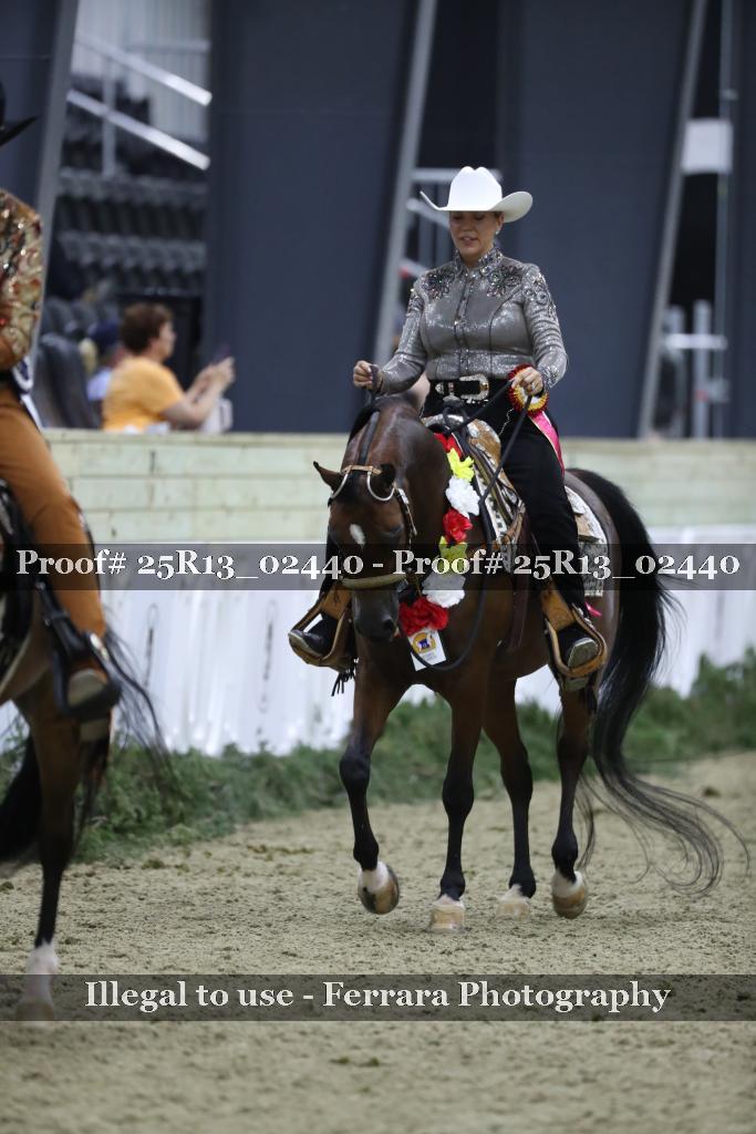 Proof Number 25R13_02440