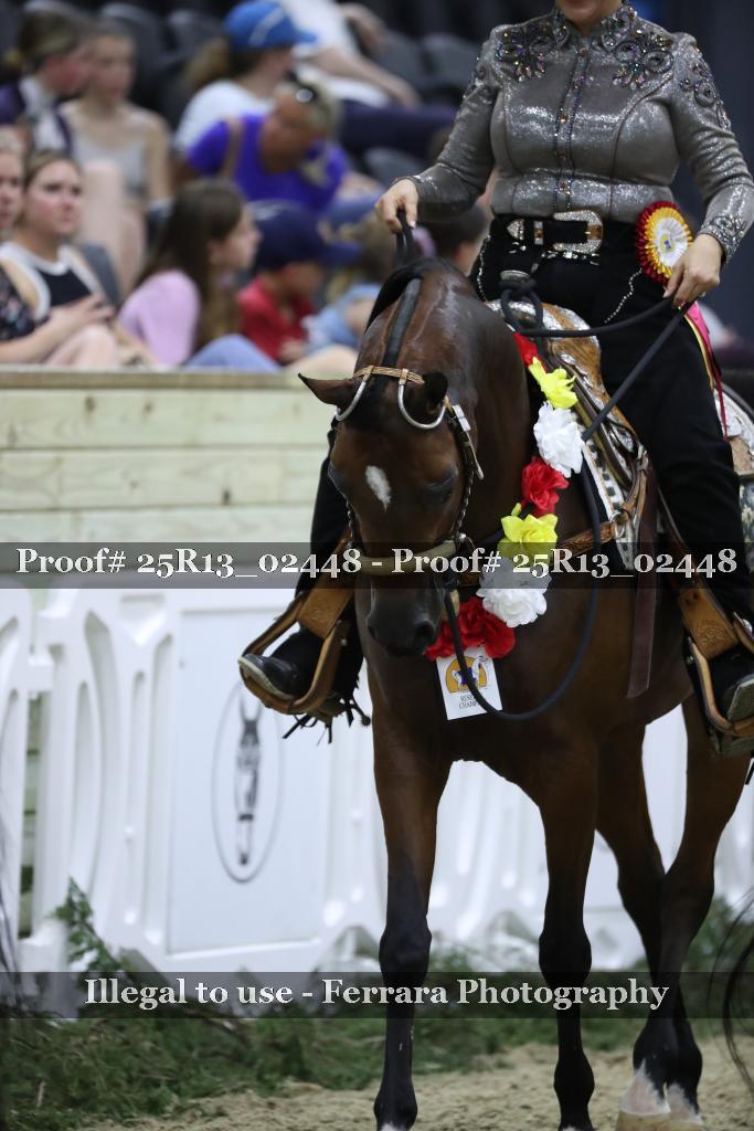 Proof Number 25R13_02448
