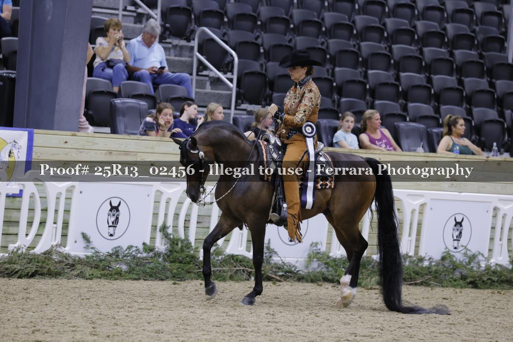 Proof Number 25R13_02456