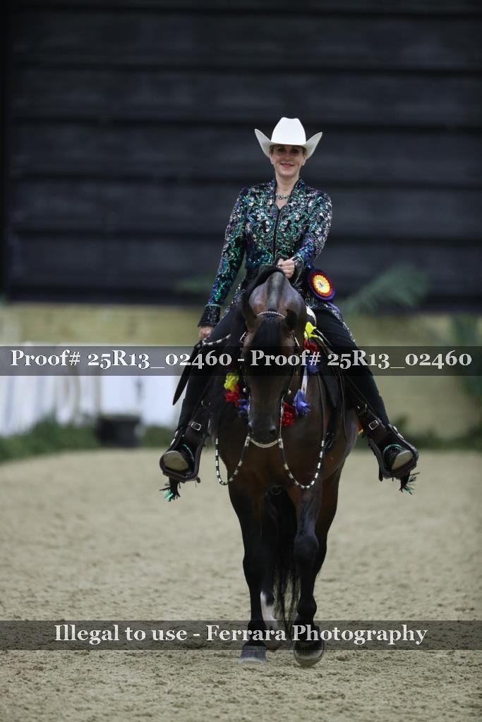 Proof Number 25R13_02460