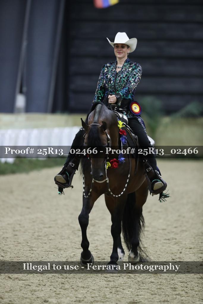 Proof Number 25R13_02466