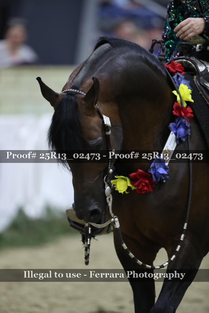 Proof Number 25R13_02473
