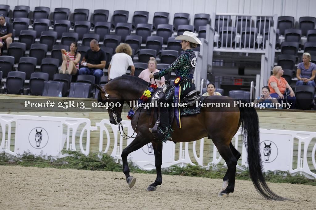 Proof Number 25R13_02490
