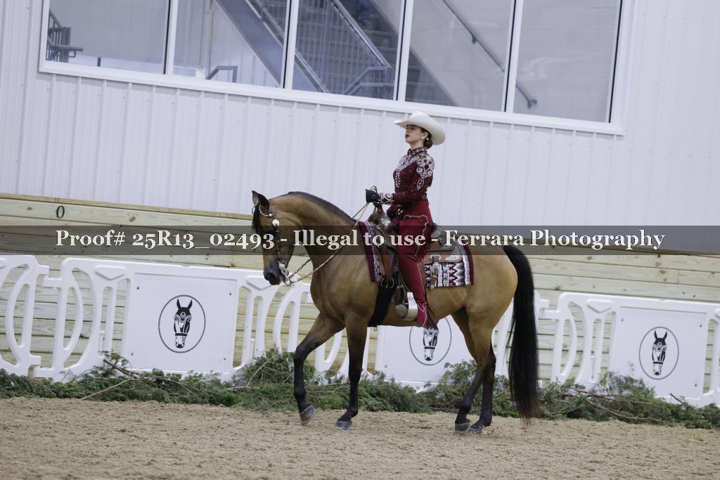 Proof Number 25R13_02493