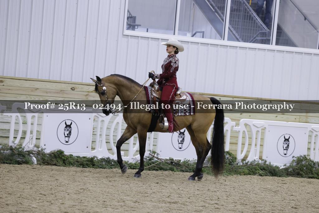 Proof Number 25R13_02494