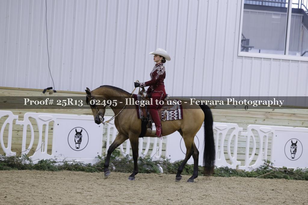 Proof Number 25R13_02495