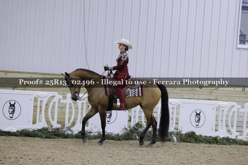 Proof Number 25R13_02496