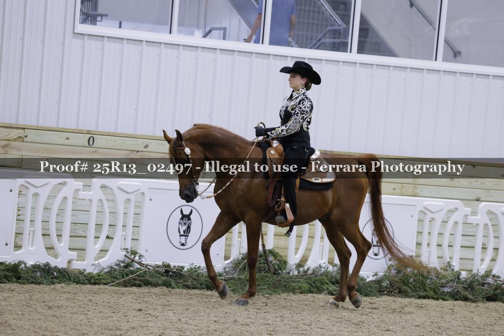 Proof Number 25R13_02497