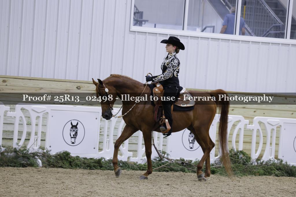 Proof Number 25R13_02498