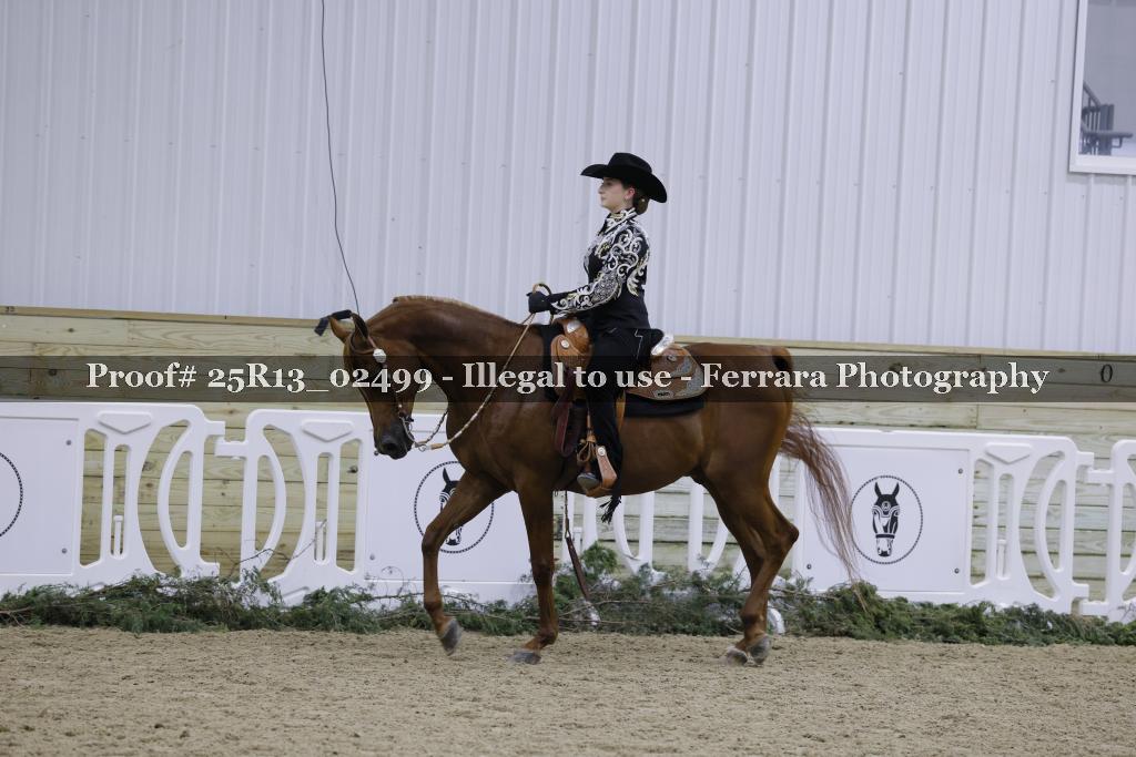 Proof Number 25R13_02499