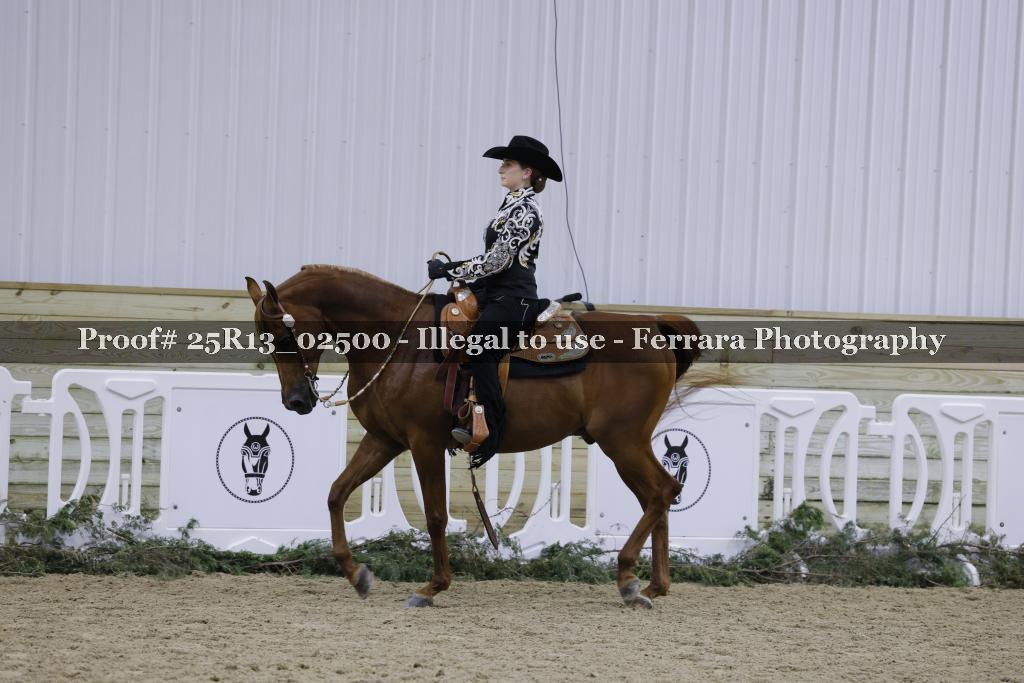 Proof Number 25R13_02500