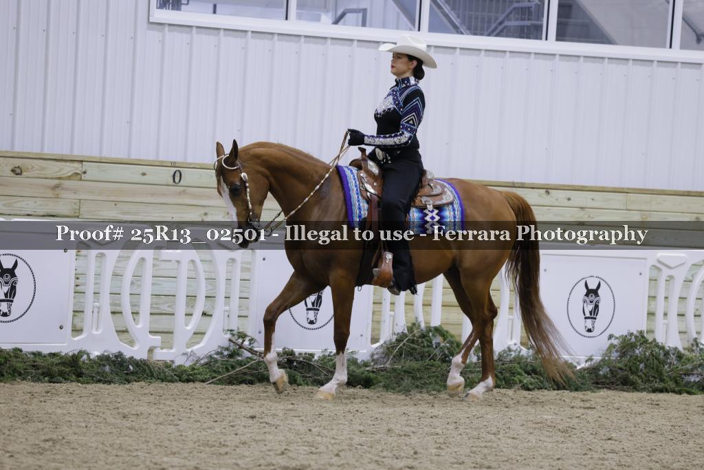 Proof Number 25R13_02501