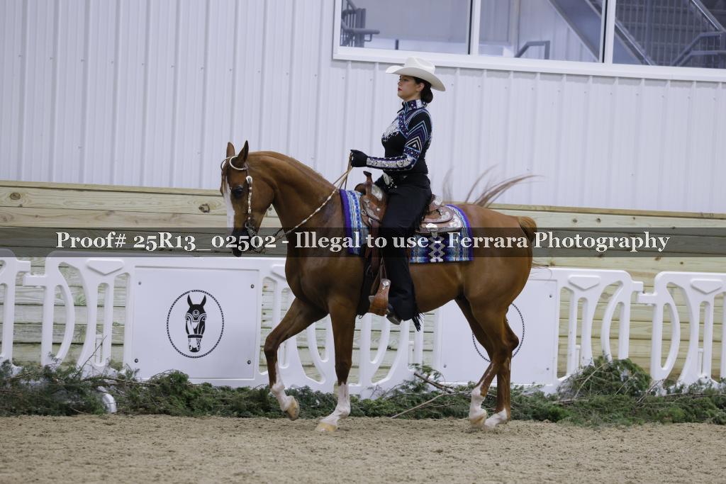 Proof Number 25R13_02502