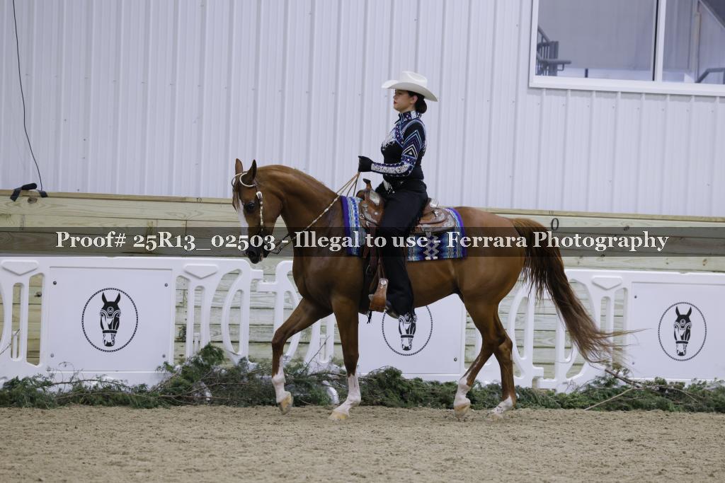 Proof Number 25R13_02503
