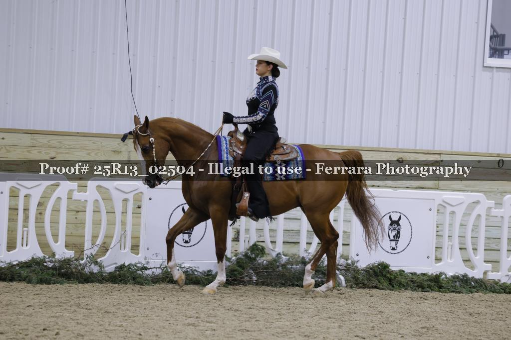 Proof Number 25R13_02504