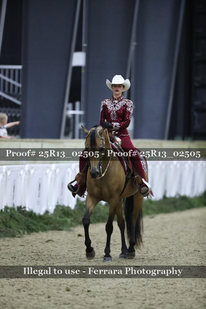 Proof Number 25R13_02505