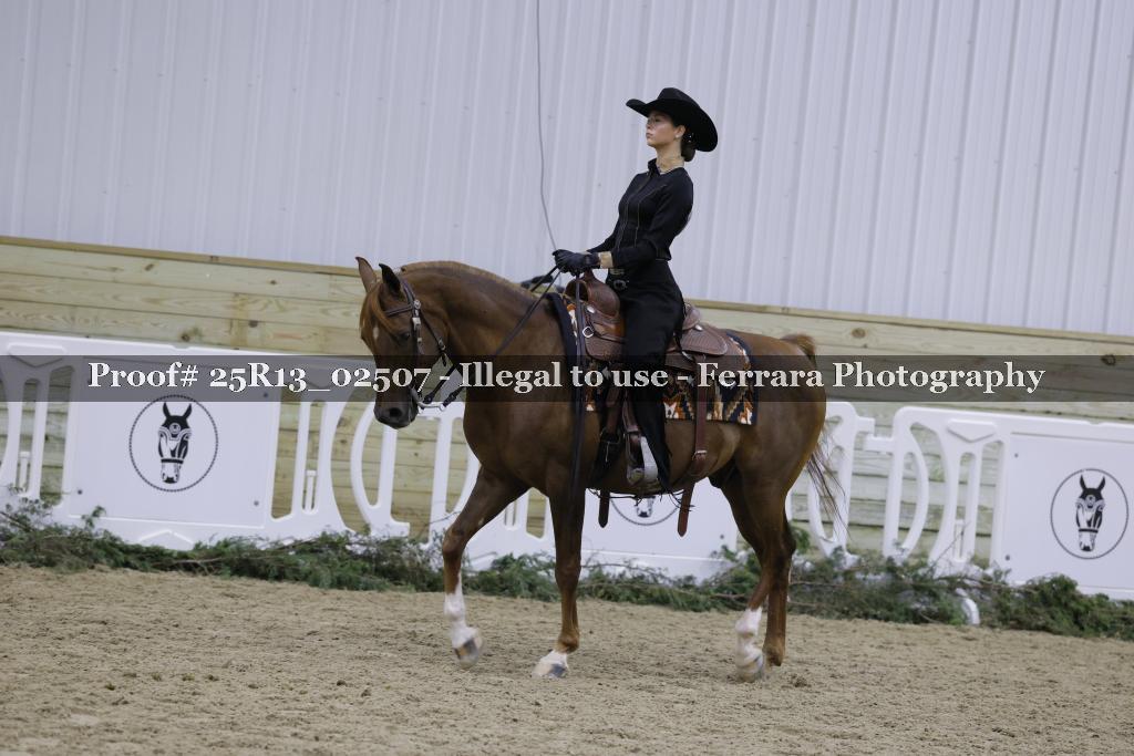 Proof Number 25R13_02507