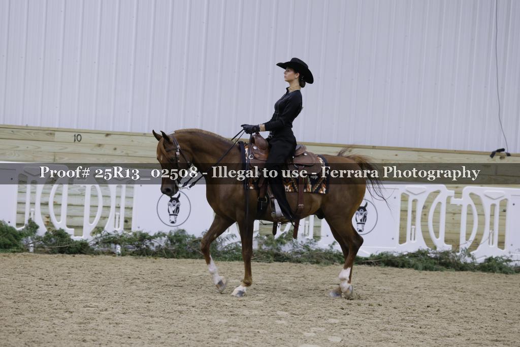 Proof Number 25R13_02508