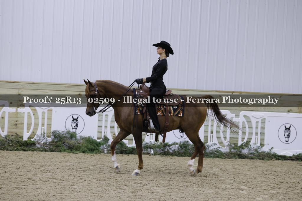 Proof Number 25R13_02509