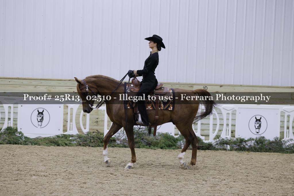 Proof Number 25R13_02510