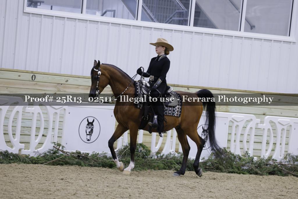 Proof Number 25R13_02511