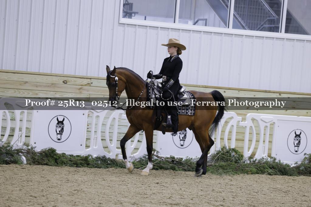 Proof Number 25R13_02512