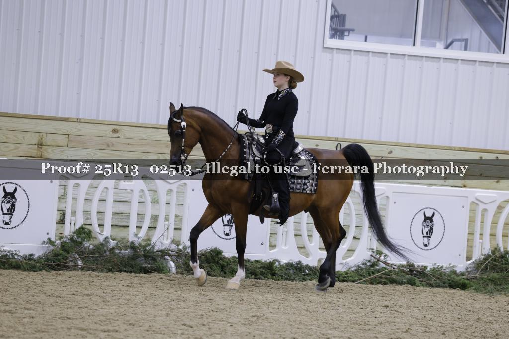 Proof Number 25R13_02513