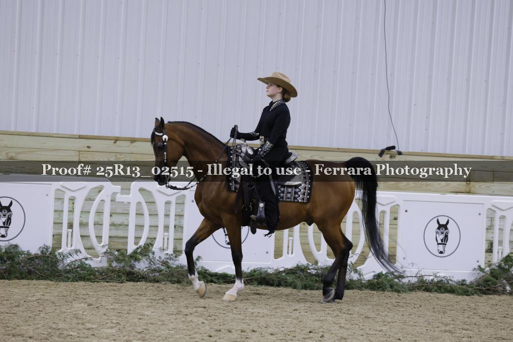 Proof Number 25R13_02515