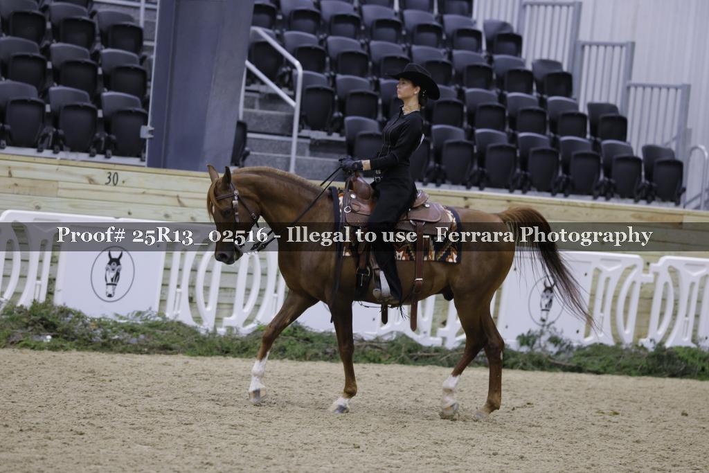 Proof Number 25R13_02516