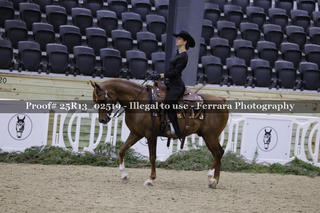 Proof Number 25R13_02519