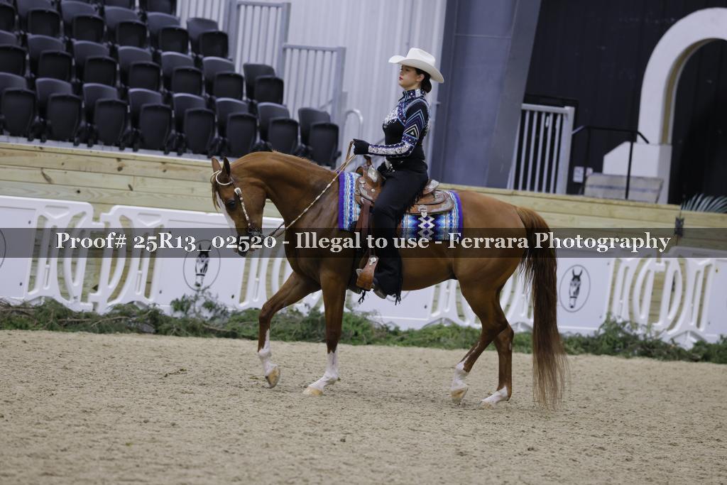 Proof Number 25R13_02520