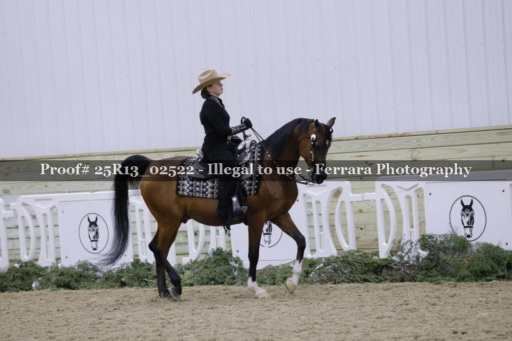 Proof Number 25R13_02522