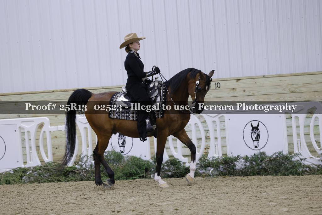 Proof Number 25R13_02523