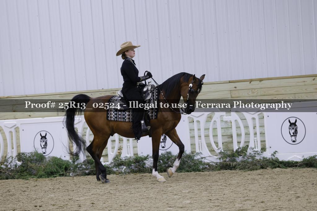 Proof Number 25R13_02524