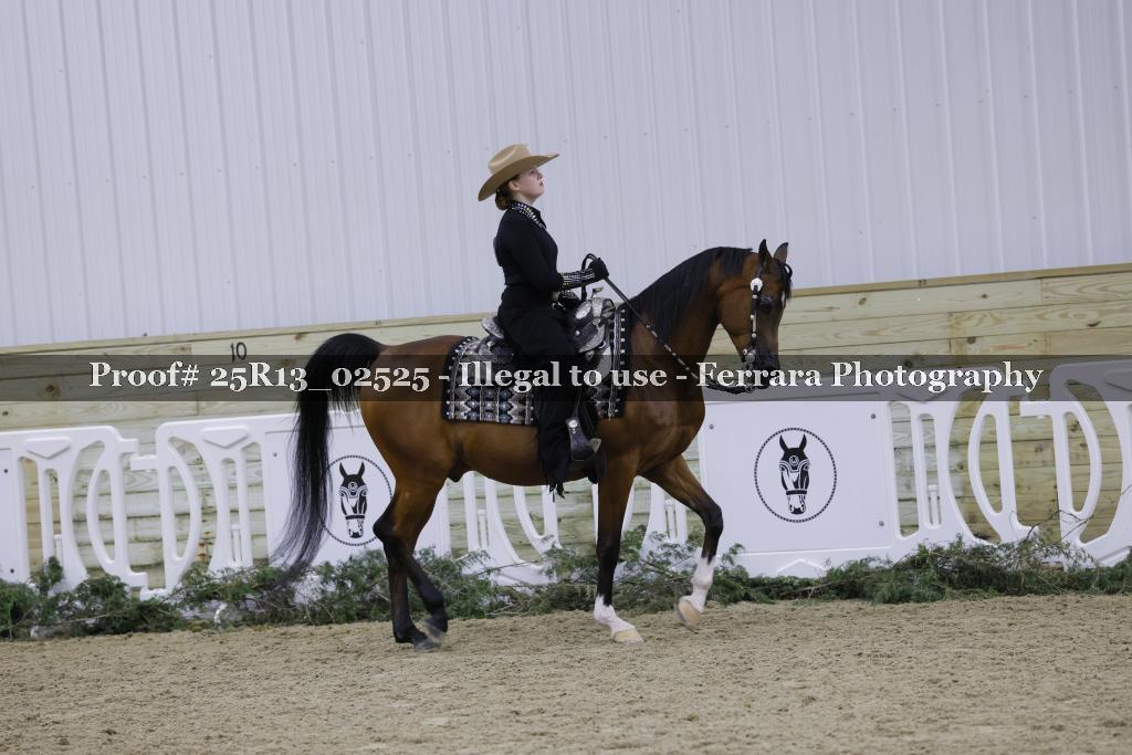 Proof Number 25R13_02525