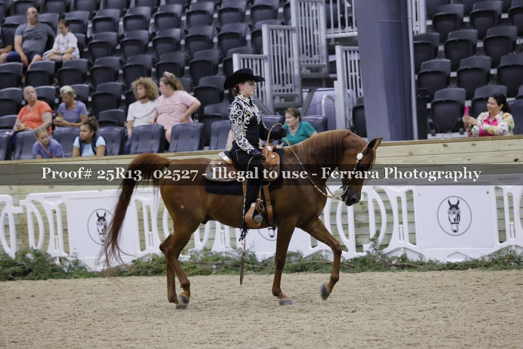 Proof Number 25R13_02527