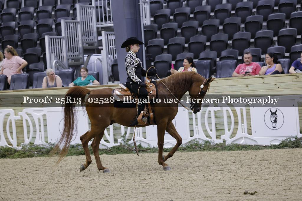 Proof Number 25R13_02528