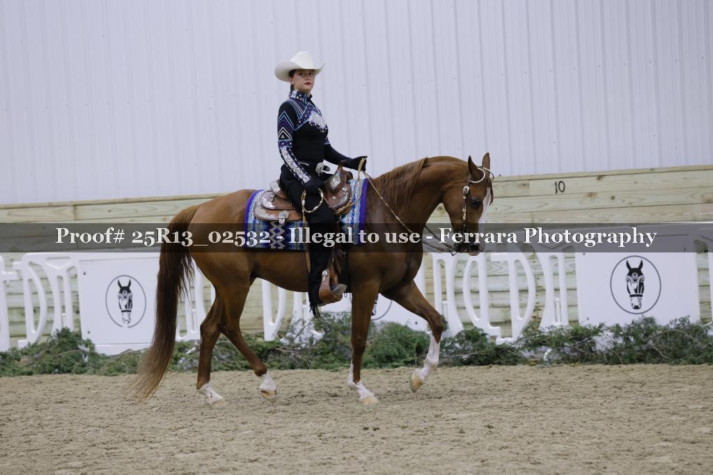 Proof Number 25R13_02532