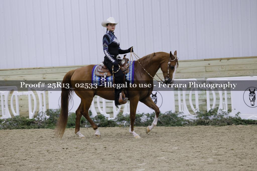 Proof Number 25R13_02533