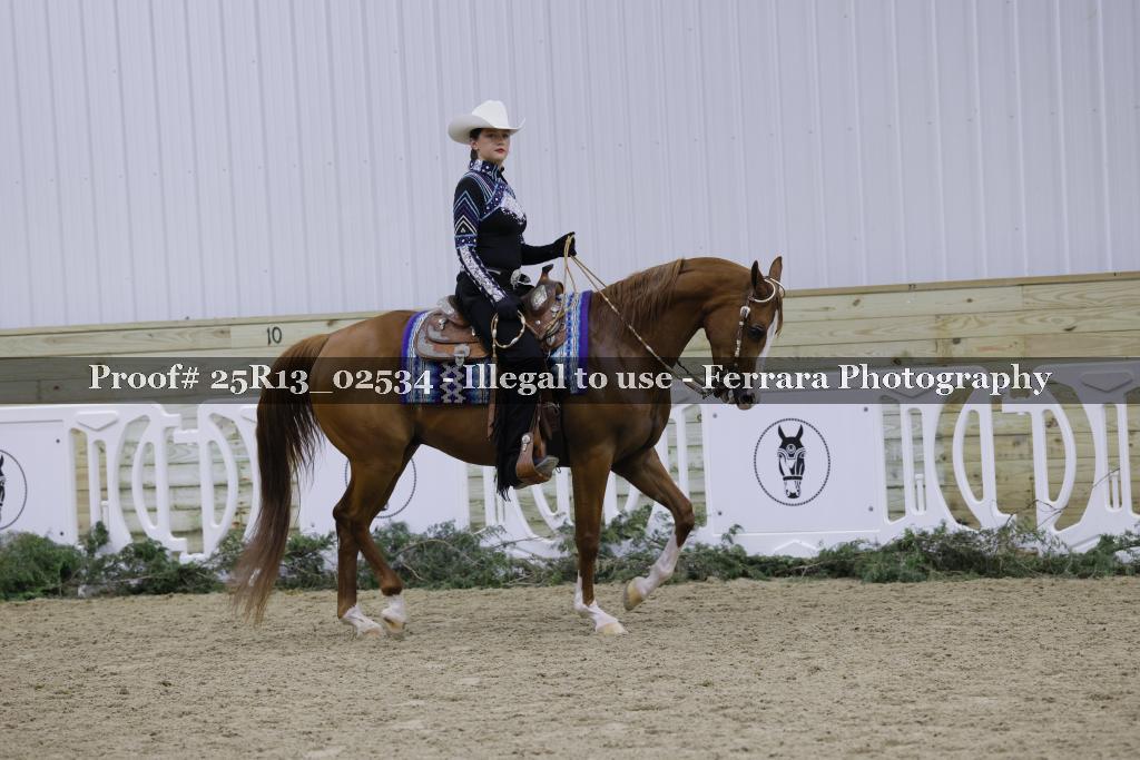 Proof Number 25R13_02534