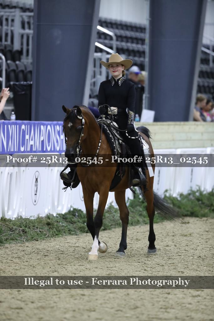 Proof Number 25R13_02545