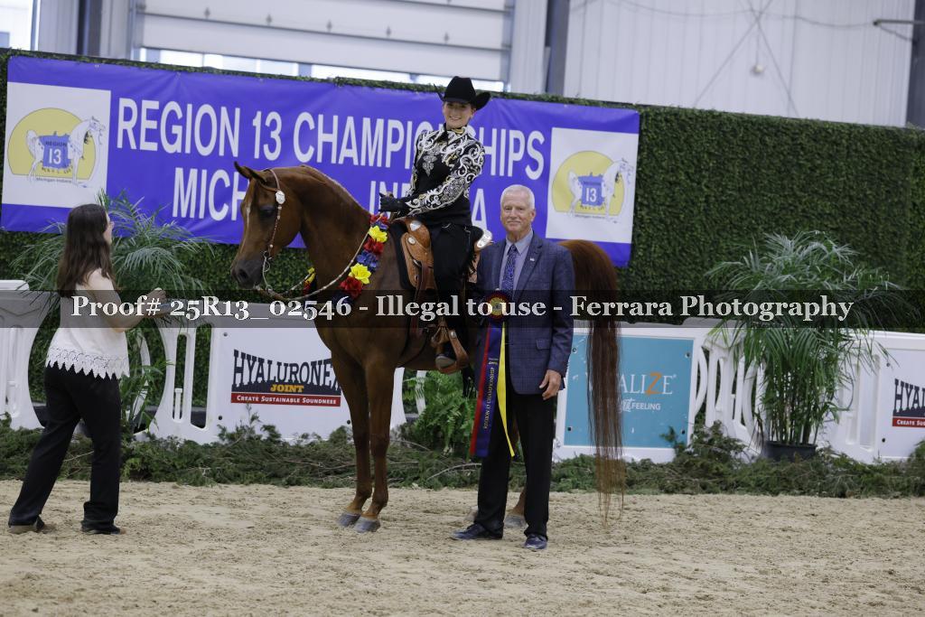 Proof Number 25R13_02546