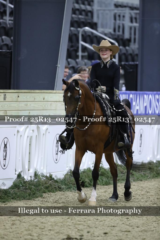 Proof Number 25R13_02547