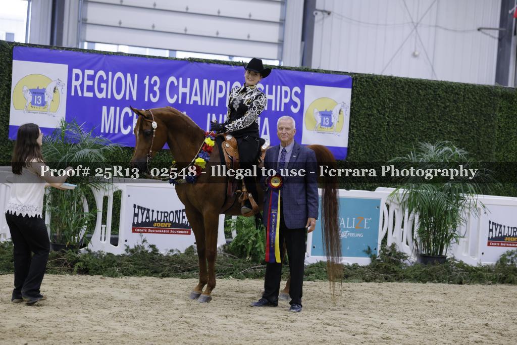 Proof Number 25R13_02548