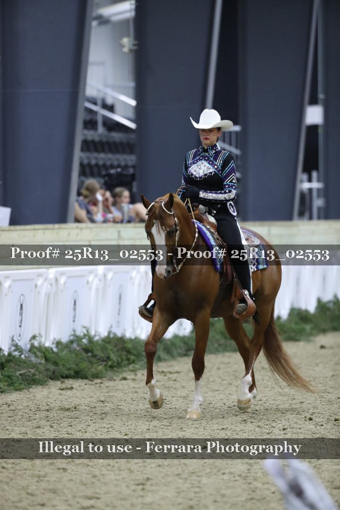 Proof Number 25R13_02553