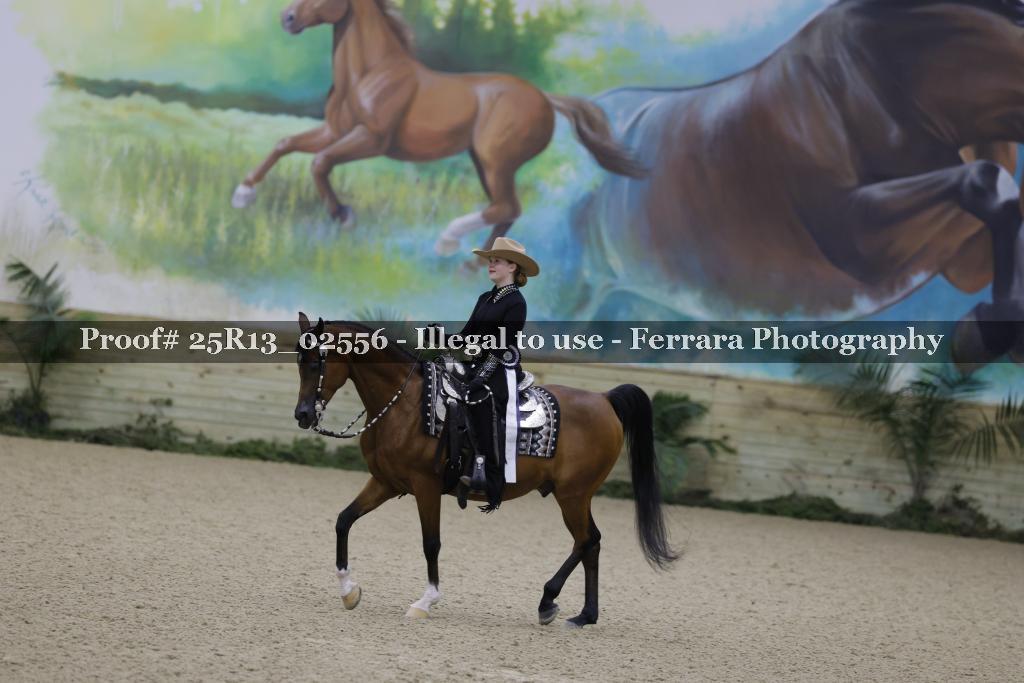 Proof Number 25R13_02556