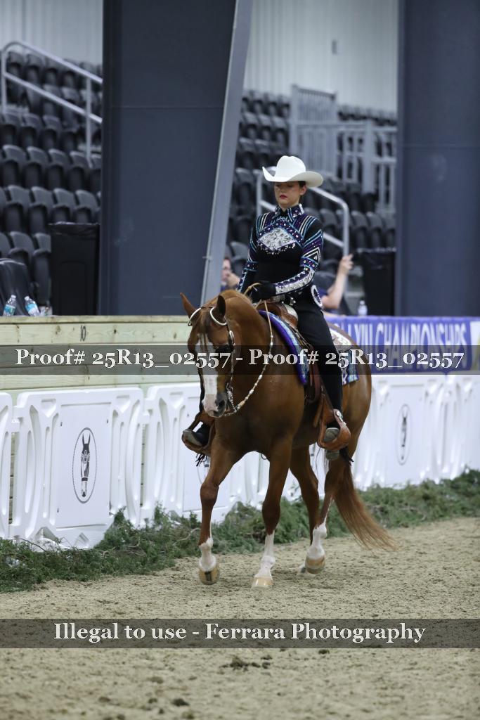 Proof Number 25R13_02557